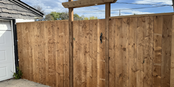 CFBD1C8B-8E52-46D9-BBFA-5A869F3B35EC